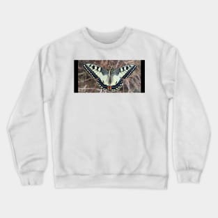 Butterfly Crewneck Sweatshirt